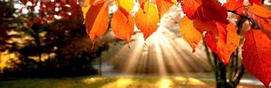 Autumn Wisdom Sermon Series - Metropolitan Community Church of Portland